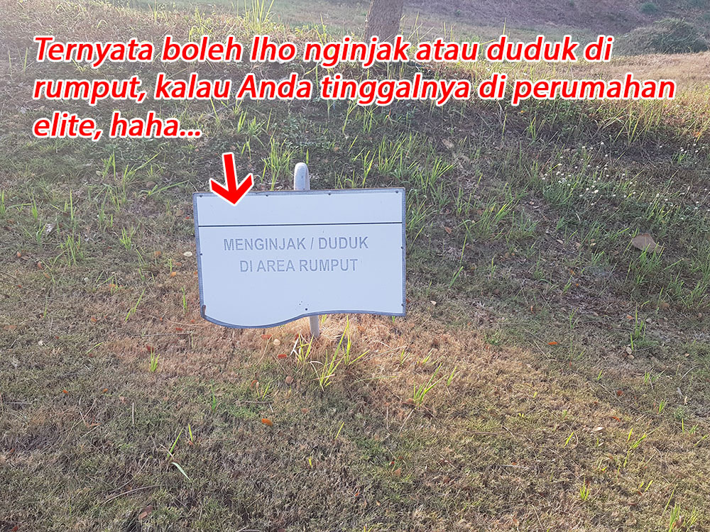 Boleh-injak-rumput-klo-tinggal-di-perumahan-elit