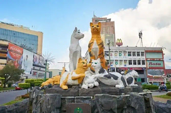 kucing-1