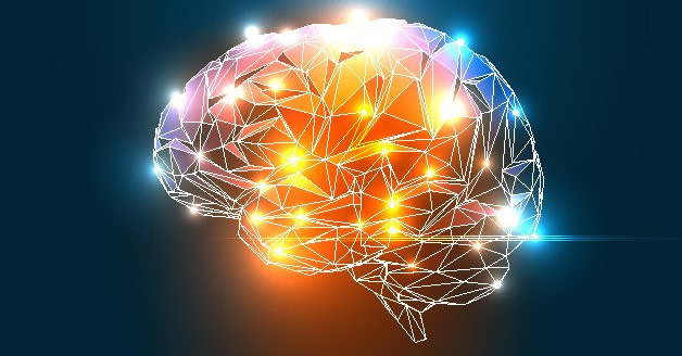 Digital Brain (2)