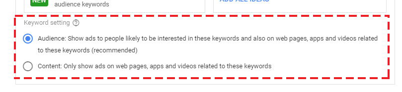 audience and website