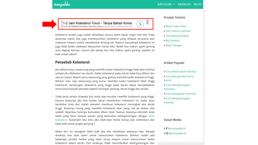 contoh google display ads 2